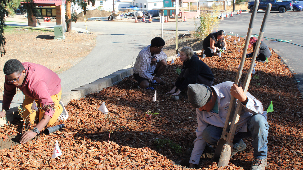 WVC students and staff place plants in a pollinator garden.