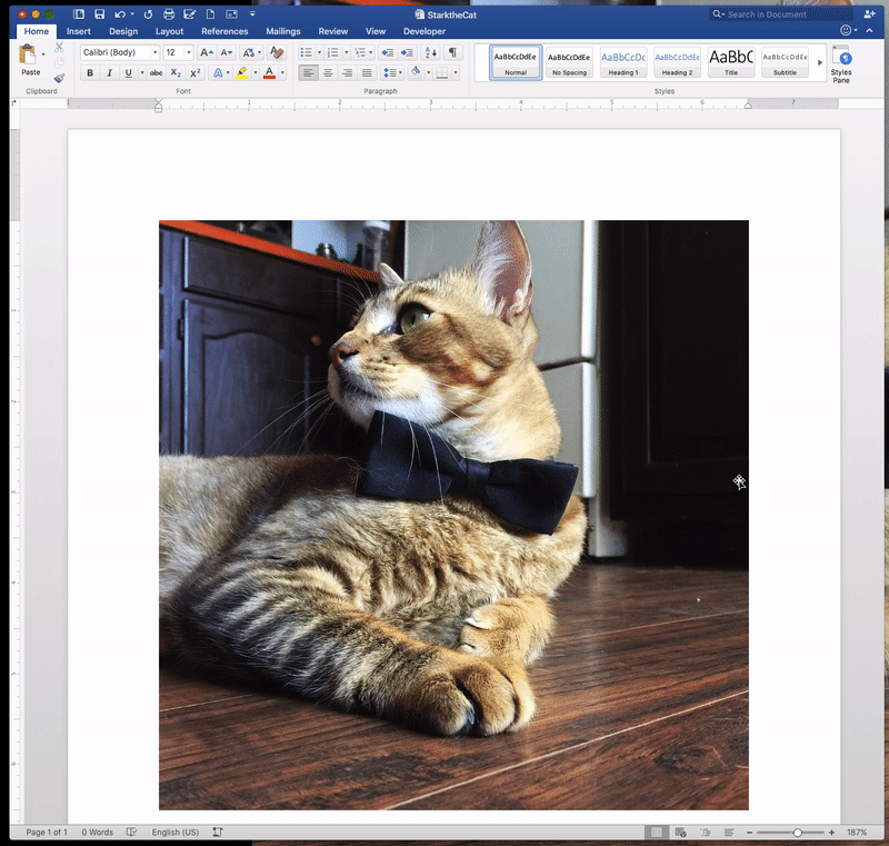 A gif showing the steps to add alternative text to an image in Microsoft Word