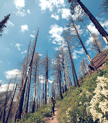 Wildfire Education professional training for contractors 