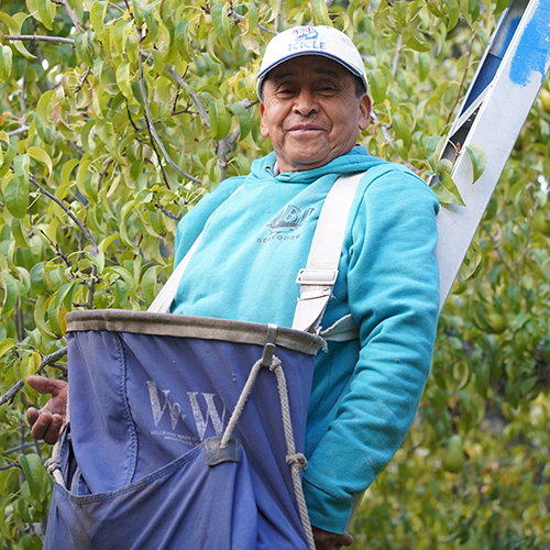 Spotlight on WVC Ag Student